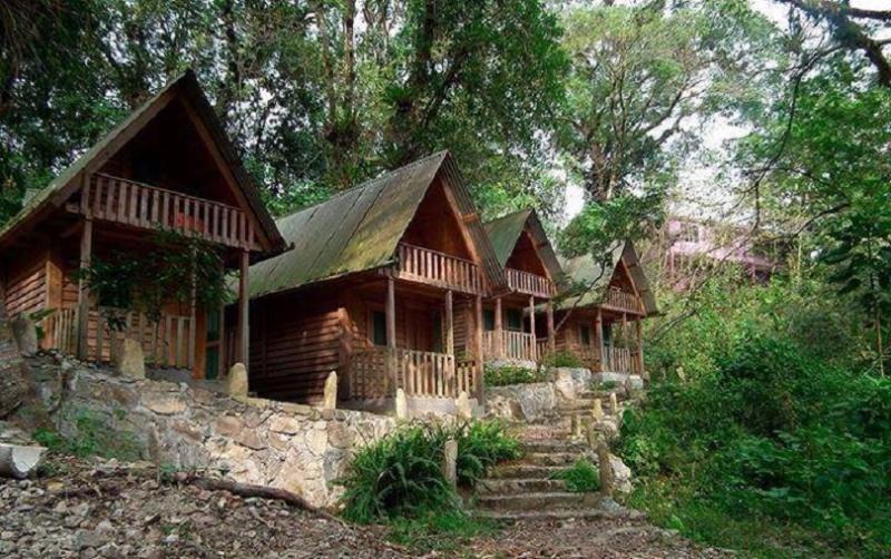 Casa Caracol Hotel San Luis Potosí Esterno foto